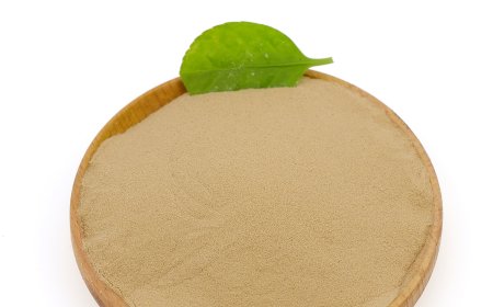 Widespread Use and Popularity of 75% Plant‑Derived Amino Acids in South America