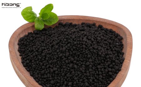 Counting the Clear Account of Planting: The Long-Term Economic Benefits of Organic Granular Fertilizer Exceed Expectations